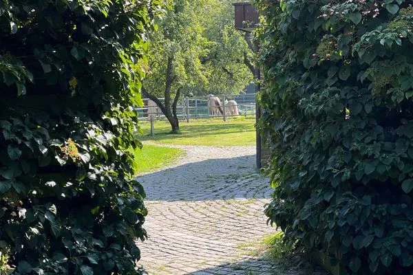   Urlaub auf dem Ponyhof - Ferienhaus für bis zu 9 Personen