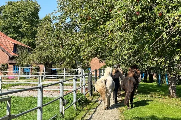   Urlaub auf dem Ponyhof - Ferienhaus für bis zu 9 Personen