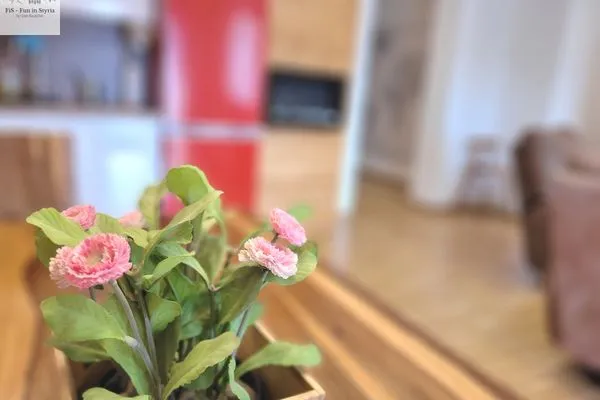 Decorative detail  Apartment Alpine Tauplitz TOP5 by FiS - Fun in Styria