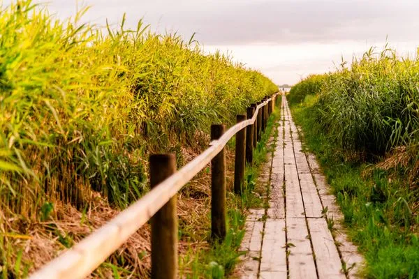 Landschaft  Haus am Steg