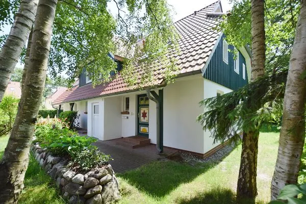   Muschelsucher Haus II/4