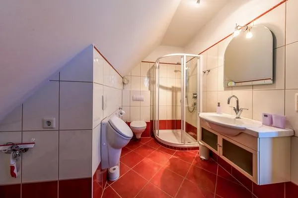 Ferienwohnung Storchenhorst Göhren-Lebbin - Badezimmer mit Dusche  Storchenhorst