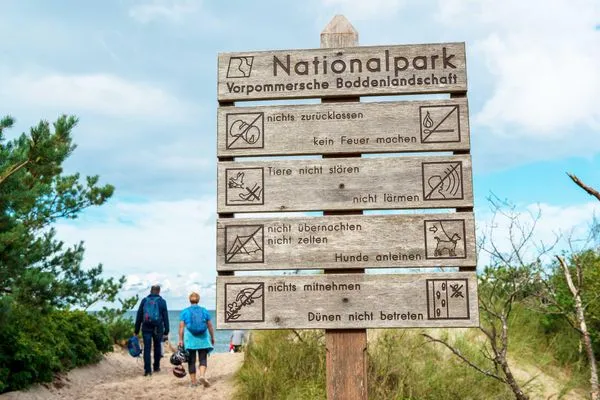 Landschaft  Seeschwalbe