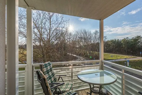 Balkon  Sanddorn