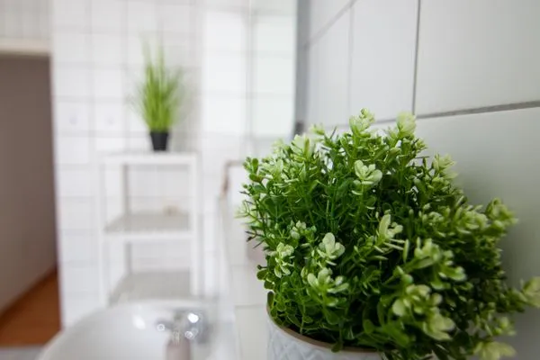 Decorative detail  Stephensons Stübchen *zentrumsnah*gemütlich*ruhig*