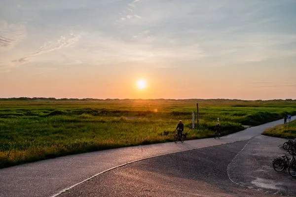 Landschaft  Gegen den Wind