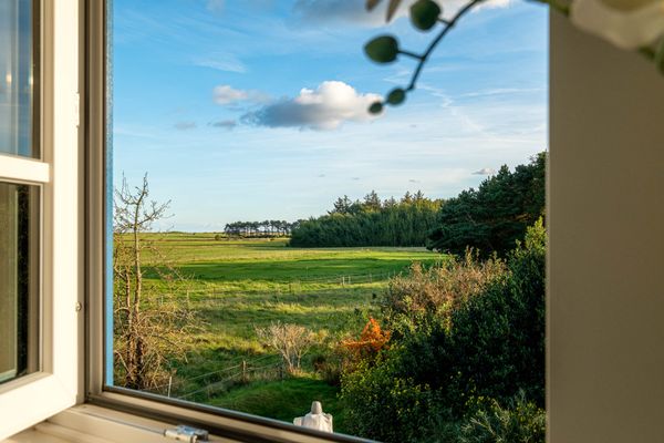 Witjhüs Whg. 3 Amrum - 