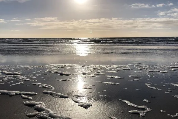   Ferienhaus *Wattprinzessin*