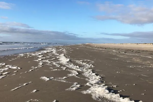   Ferienhaus *Wattprinzessin*