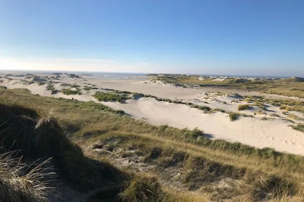   Ferienhaus *Wattprinzessin*