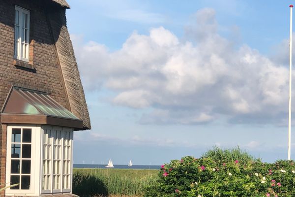 "Wattkrabbe" RH/1A Rantum - 