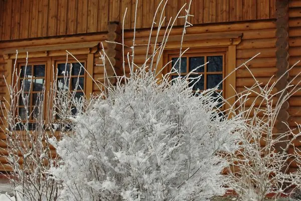 Hauptansicht  Blockhaus James Cook - Meerblick