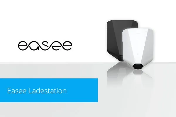 Dekoratives Detail  Ferienhaus Schilfrohrsänger 48