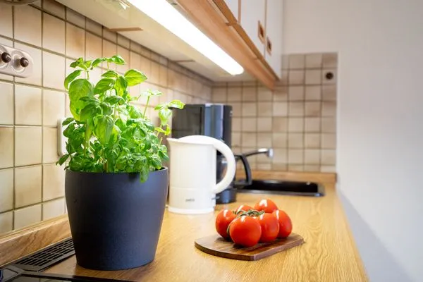 Küche / Küchenzeile  (AMW1) Ferienwohnung Garbers/Thiele