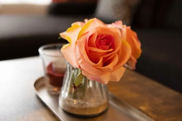 Dekoratives Detail  (DKK11B) Ferienwohnung Seegras F***