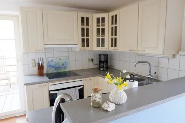 Voll ausgestattete, einfache Küche mit Terrassenzugang  Ferienhaus Poseby