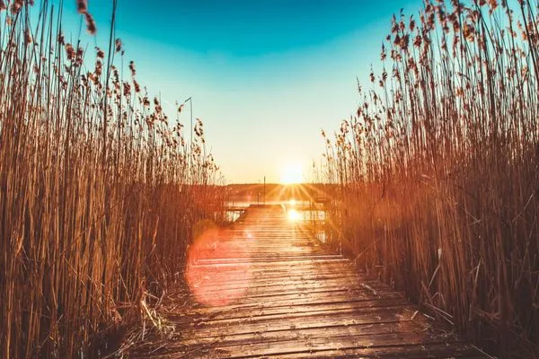Landschaft  Hochzeitskoje
