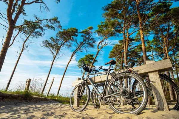 Ferienwohnung Grevenburg Aparthotel Zingst - gutes Fahrradwege-Netz  Grevenburg