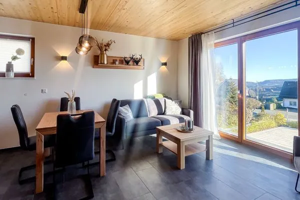 Living room  Mountain View