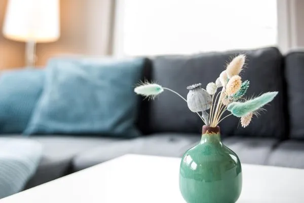 Wohnzimmer  Austernperle