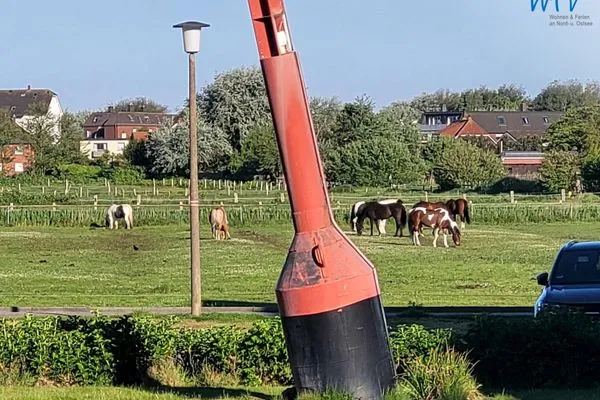 Blick aus dem Wohnzimmer Holiday Residenz II Ferienwohnung Nordseeliebe
