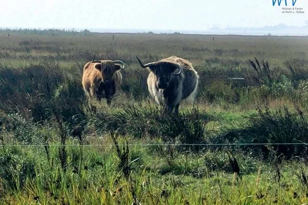  Holiday Residenz II Ferienwohnung Nordseeliebe