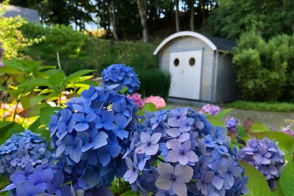 Blick in den modernen Garten mit Hortensien  Strandquartier L. A.