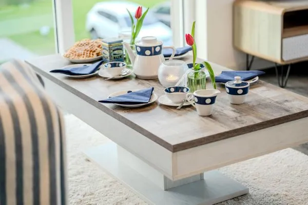 Moderne Wohnzimmereinrichtung  Austernfischer (E013)