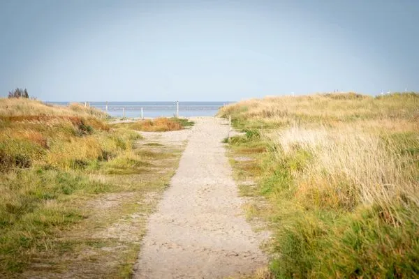 Weg zum Strand  Austernfischer (E013)