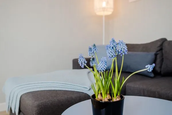 Wohnzimmer  Möwennest