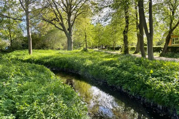 Dahmer Au direkt neben dem Ferienhaus  Ferienhaus an der Au
