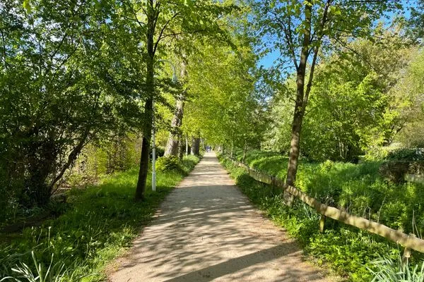 Sandweg vor dem Ferienhaus in Richtung Kurpark und Zentrum (600m)  Ferienhaus an der Au