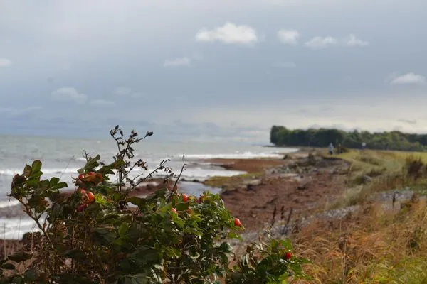 Die Flensburger Förde - schön zu jeder Jahreszeit  Strandhaus am Mühlendamm