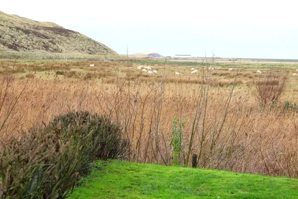 Gartenblick  Am Loo 8b