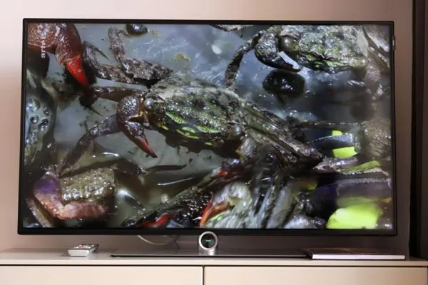 TV / Multimedia  Elisabethstr. 2, Whg. 12