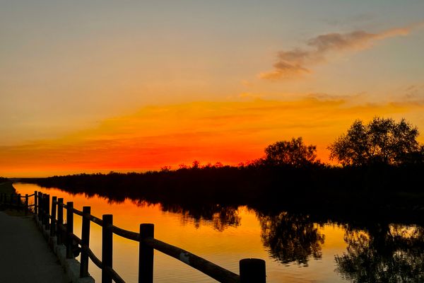  Ferienwohnung La Camargue Saint-Laurant-d`Agouze - Landschaft