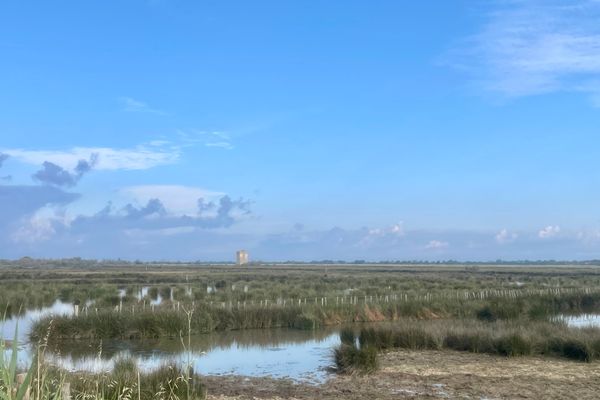  Ferienwohnung La Camargue Saint-Laurant-d`Agouze - Landschaft