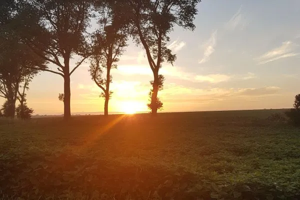  Ferienresidenz Haus Vogelflug Strandresidenz Vogelflug App.11