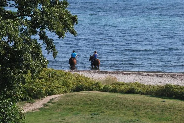  Ferienresidenz Haus Vogelflug Penthouse App.15