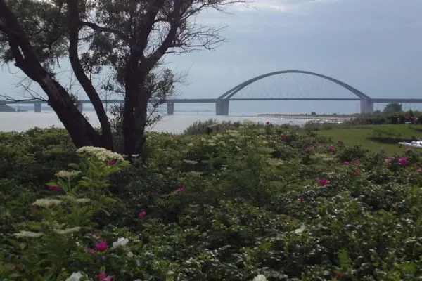  Ferienresidenz Haus Vogelflug Fehmarn-Ostseeferien / "Meerblick-Fehmarnsund" / Strandresidenz Vogelflug (147/6