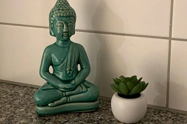   Möwennest Südstrand