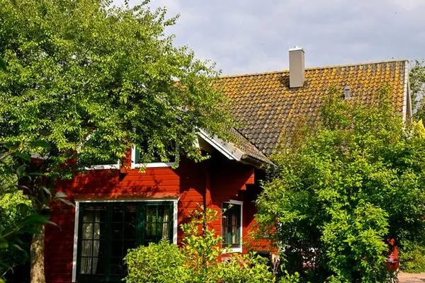  Fehmarn Ostseeferien/ Landliebe Fehmarn (117)