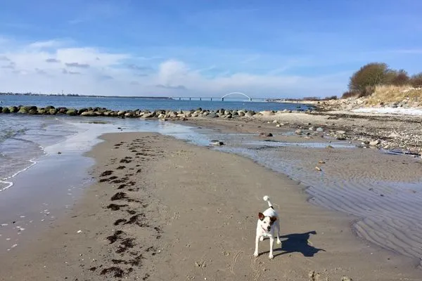   Fehmarn Ostseeferien FW3/Ostseeblick am Golfplatz (121/2)