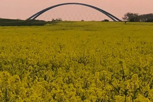   Fehmarn Ostseeferien FW3/Ostseeblick am Golfplatz (121/2)