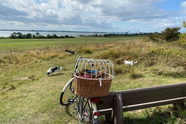   Fehmarn Ostseeferien FW3/Ostseeblick am Golfplatz (121/2)