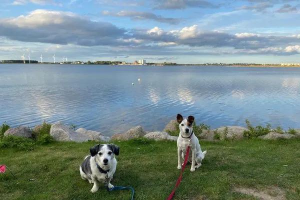   Fehmarn Ostseeferien FW3/Ostseeblick am Golfplatz (121/2)