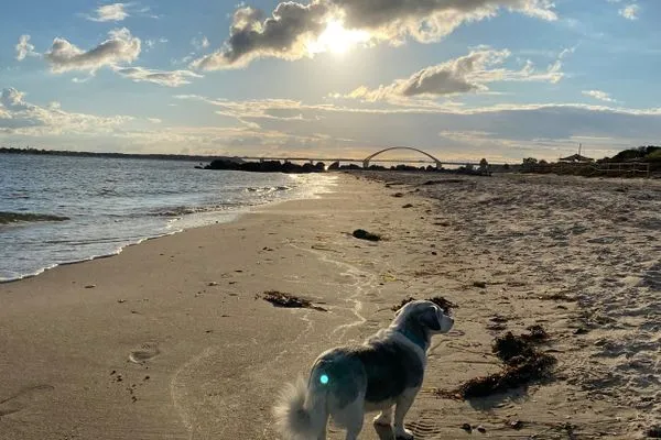  Fehmarn Ostseeferien FW3/Ostseeblick am Golfplatz (121/2)