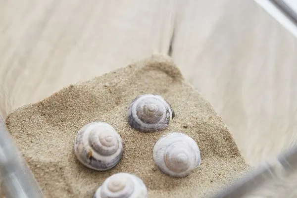 Dekoratives Detail  Haus Nordstrand - Ferienwohnung 1