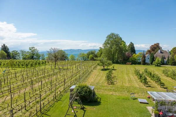 Ferienhaus Dani Ferienapartment Panoramablick Nonnenhorn - Balkon