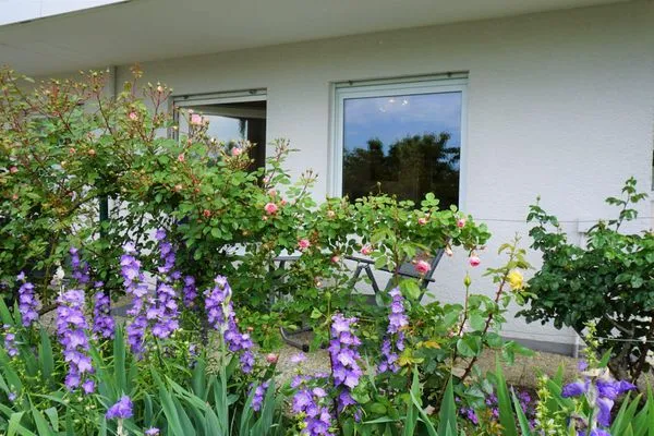 Terrasse Silvanerlaube Silvanerlaube B